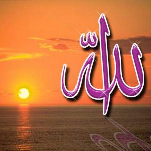 من اسماء الله الحسنى