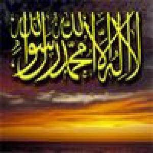 محمد نبينا